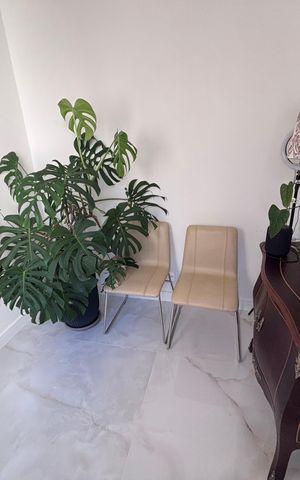Apartamento à venda com 218m², 4 quartos e 2 vagas Apartamento à venda com 218m², 4 quartos e 2 vagasCorredor