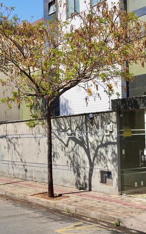 Apartamento para alugar com 88m², 3 quartos e 2 vagas Apartamento para alugar com 88m², 3 quartos e 2 vagasInstalação de placa 5A: foto 3