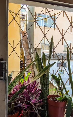 Apartamento à venda com 40m², 1 quarto e 1 vaga Apartamento à venda com 40m², 1 quarto e 1 vagaQuarto