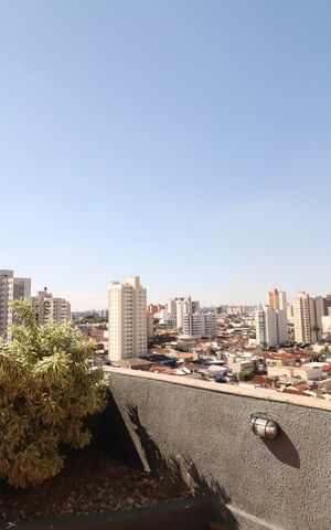 Apartamento para alugar com 359m², 4 quartos e 2 vagasTerraço - Varanda