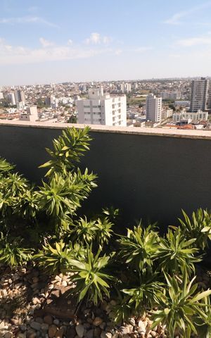 Apartamento para alugar com 359m², 4 quartos e 2 vagasTerraço - Varanda