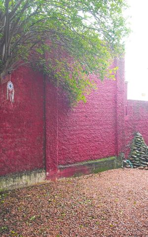 Casa de condomínio para alugar com 117m², 3 quartos e 2 vagasQuintal