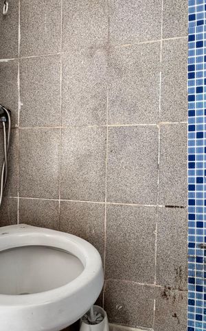 Casa para alugar com 40m², 1 quarto e sem vaga Casa para alugar com 40m², 1 quarto e sem vagaBanheiro social