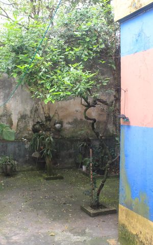 Casa à venda com 125m², 2 quartos e 2 vagasQuintal
