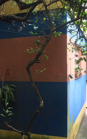Casa à venda com 125m², 2 quartos e 2 vagasQuintal