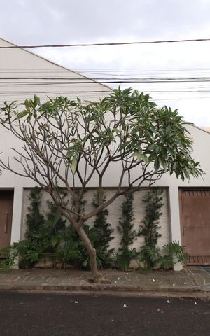 Casa para alugar com 250m², 4 quartos e 2 vagasFachada
