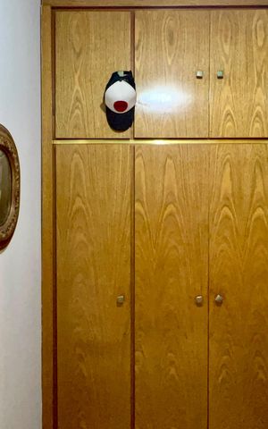 Apartamento à venda com 212m², 4 quartos e 3 vagas Apartamento à venda com 212m², 4 quartos e 3 vagasCloset da suíte