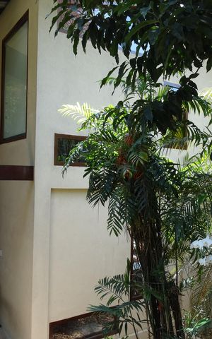 Casa à venda com 310m², 4 quartos e 1 vaga Casa à venda com 310m², 4 quartos e 1 vagaÁrea externa