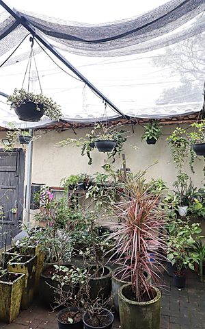 Casa à venda com 152m², 5 quartos e 5 vagasVista da Sala 2