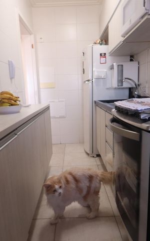 Apartamento à venda com 58m², 2 quartos e 1 vagaCozinha