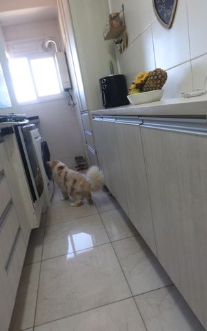 Apartamento à venda com 58m², 2 quartos e 1 vagaCozinha
