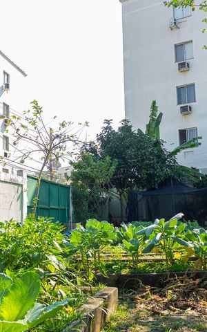 Apartamento para alugar com 60m², 2 quartos e 1 vagaÁrea comum