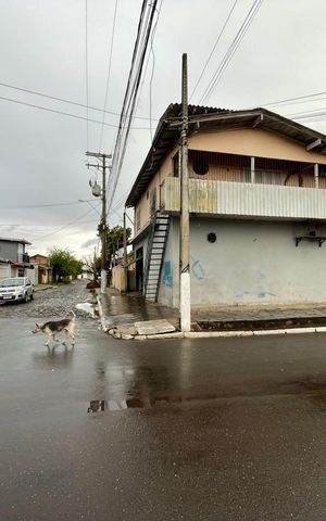 Apartamento para alugar com 250m², 3 quartos e 1 vagaFachada