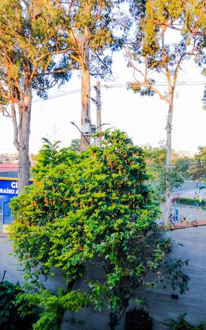 Casa à venda com 320m², 3 quartos e 3 vagasVista Quarto 2 