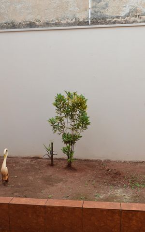 Casa para alugar com 200m², 3 quartos e 5 vagasQuintal