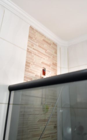 Casa à venda com 50m², 2 quartos e 3 vagasBanheiro