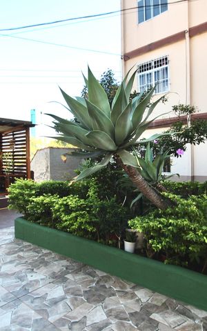 Apartamento à venda com 59m², 2 quartos e 1 vaga Apartamento à venda com 59m², 2 quartos e 1 vagaÁrea comum