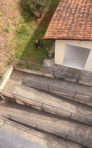 Apartamento à venda com 49m², 2 quartos e 1 vagaÁrea externa
