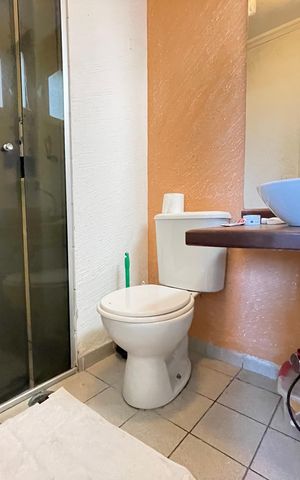 Apartamento para alugar com 66m², 2 quartos e 1 vaga Apartamento para alugar com 66m², 2 quartos e 1 vagaBanheiro