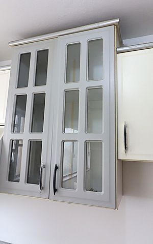 Apartamento para alugar com 77m², 3 quartos e sem vagaCozinha - Armários