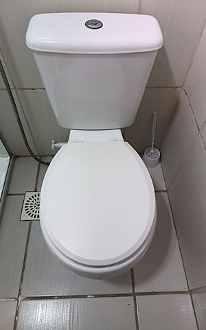Apartamento para alugar com 77m², 3 quartos e sem vagaBanheiro