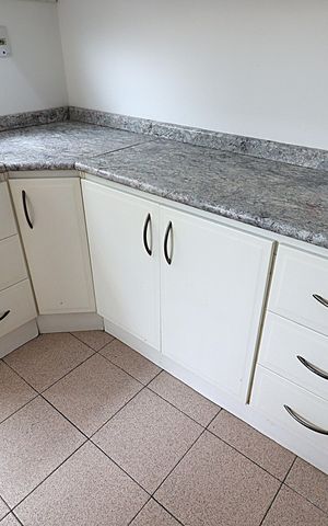 Apartamento para alugar com 77m², 3 quartos e sem vagaCozinha - Armários