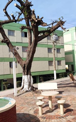 Apartamento à venda com 60m², 2 quartos e 1 vagaÁrea comum