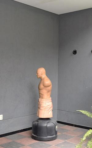 Studio para alugar com 31m², 1 quarto e sem vagaAcademia