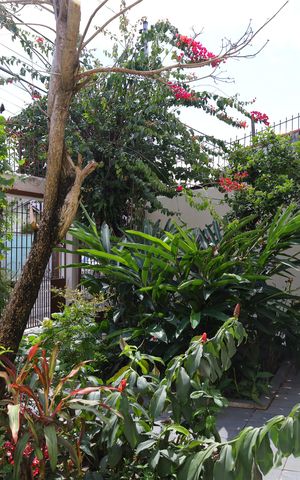 Casa para alugar com 160m², 4 quartos e 3 vagasVaranda