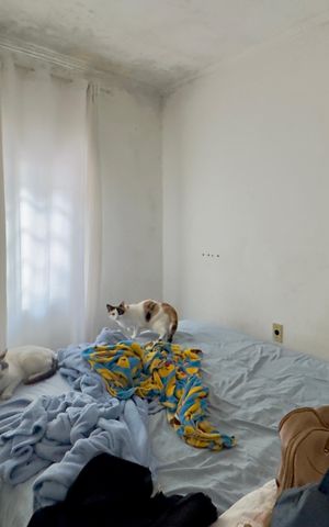 Casa à venda com 438m², 5 quartos e 2 vagas