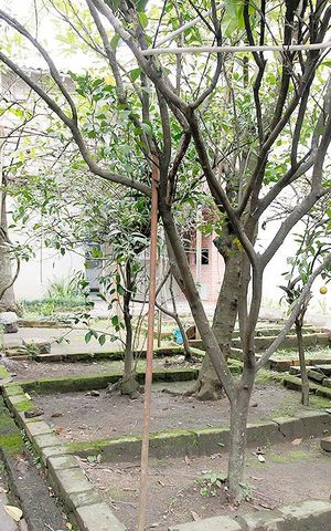 Casa à venda com 188m², 3 quartos e 2 vagasJardim