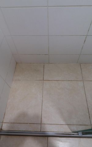 Apartamento para alugar com 52m², 2 quartos e 1 vagaBanheiro 