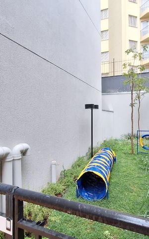 Studio para alugar com 27m², 1 quarto e sem vaga Studio para alugar com 27m², 1 quarto e sem vagaPet Place