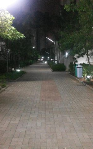Apartamento para alugar com 58m², 2 quartos e 1 vaga Apartamento para alugar com 58m², 2 quartos e 1 vagaÁrea externa