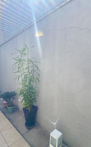 Casa à venda com 300m², 3 quartos e 6 vagas Casa à venda com 300m², 3 quartos e 6 vagasJardim de inverno