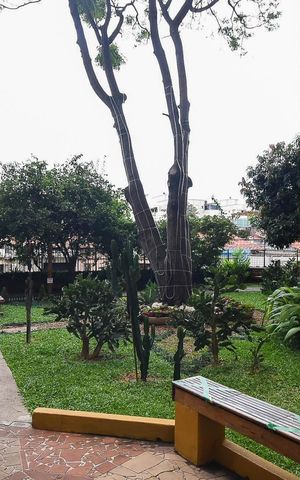 Apartamento para alugar com 68m², 3 quartos e 1 vaga Apartamento para alugar com 68m², 3 quartos e 1 vagaJardim