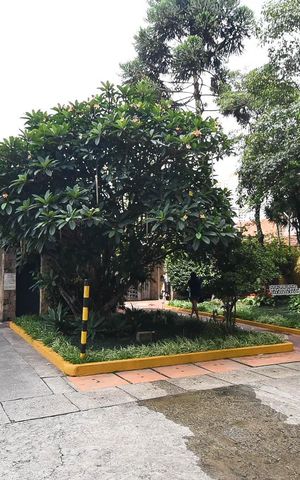 Apartamento para alugar com 68m², 3 quartos e 1 vaga Apartamento para alugar com 68m², 3 quartos e 1 vagaEntrada