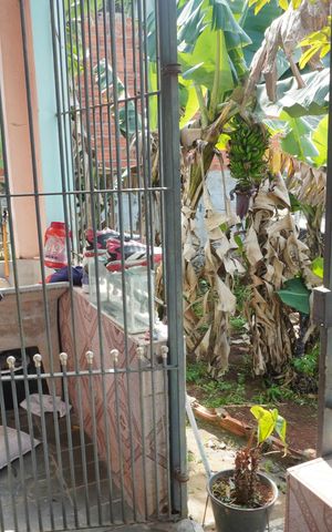 Casa para alugar com 50m², 1 quarto e sem vagaÁrea de Serviço