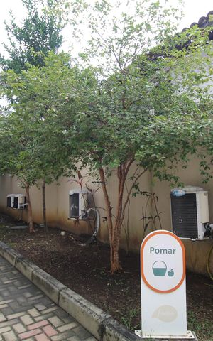 Apartamento à venda com 108m², 4 quartos e 2 vagasÁrea comum