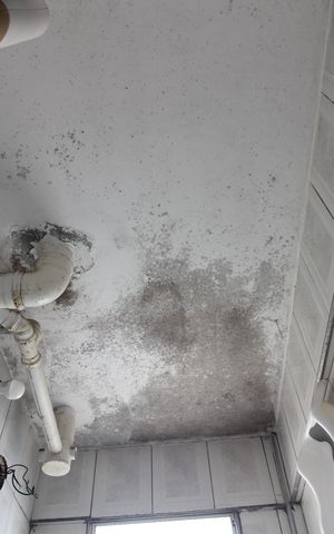 Apartamento à venda com 42m², 2 quartos e 1 vagaBanheiro social