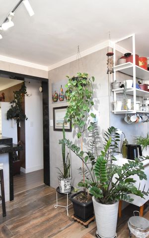 Apartamento à venda com 80m², 3 quartos e 1 vagaCozinha
