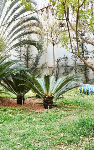 Studio para alugar com 40m², 1 quarto e 1 vaga Studio para alugar com 40m², 1 quarto e 1 vagaJardim