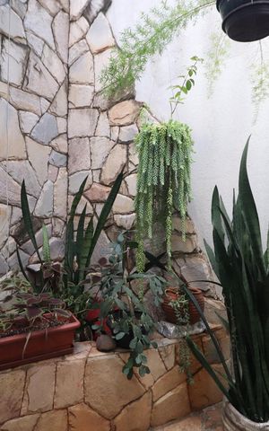 Casa para alugar com 360m², 5 quartos e 4 vagasJardim de Inverno