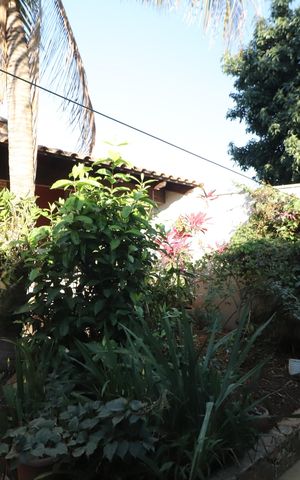 Casa para alugar com 360m², 5 quartos e 4 vagasJardim - Quintal