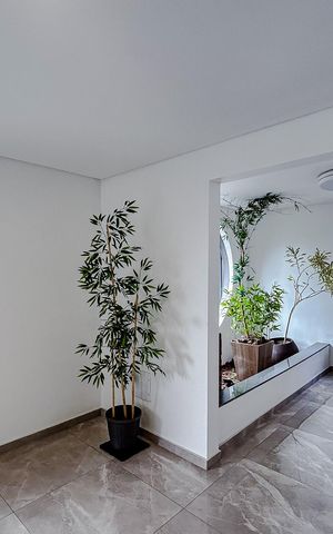 Studio para alugar com 23m², 1 quarto e sem vagaHall de entrada