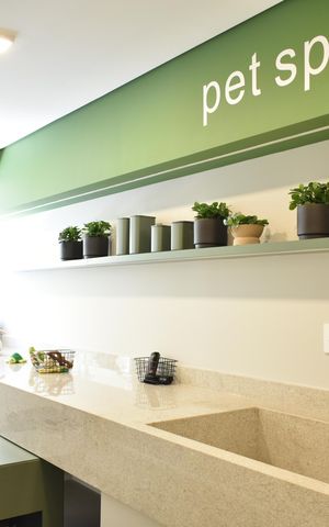 Apartamento para alugar com 28m², 1 quarto e sem vagaPet Spa