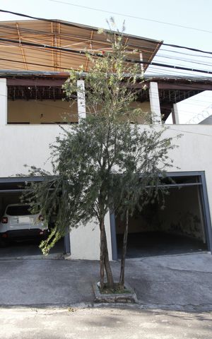 Casa à venda com 543m², 7 quartos e 3 vagasFachada