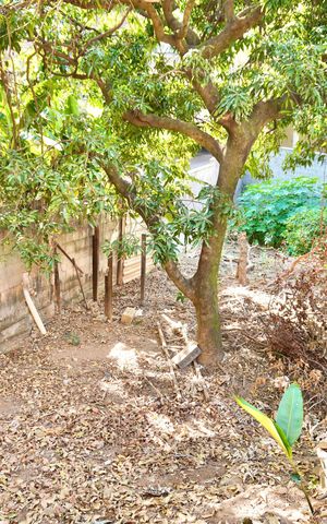 Casa à venda com 110m², 2 quartos e 1 vaga Casa à venda com 110m², 2 quartos e 1 vagaQuintal