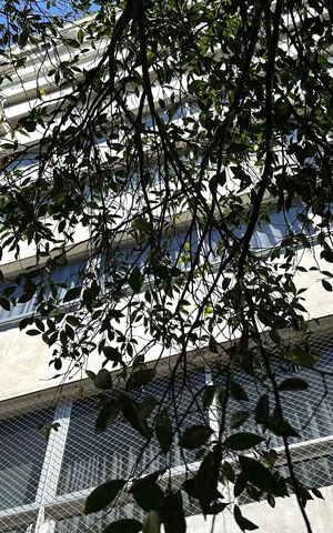 Apartamento para alugar com 190m², 3 quartos e 1 vaga