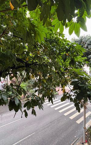 Apartamento à venda com 30m², 1 quarto e sem vaga Apartamento à venda com 30m², 1 quarto e sem vagaVista da Sala/Quarto